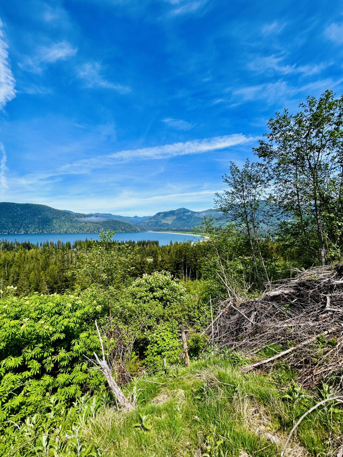 vancouver island land for sale        <h3 class=